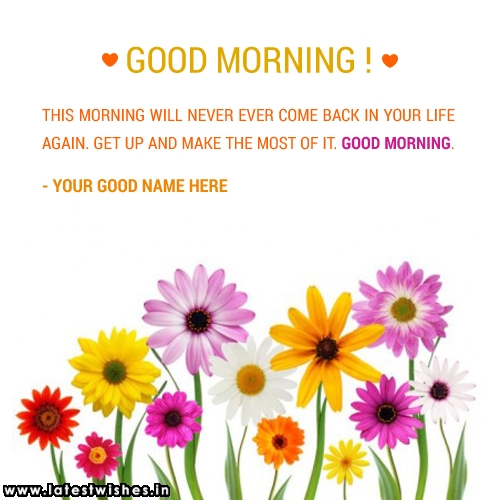 Colorful Good Morning Flowers Wishes Pictures