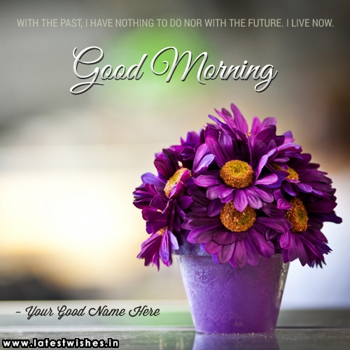 Purple Flowers pot Good Morning Pics